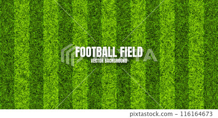 Soccer playing field with green grass. Football pitch background with stripes. Sports ground, stadium with fake or natural grass. Vector illustration 116164673