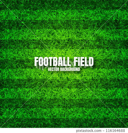 Soccer playing field with green grass. Football pitch background with stripes. Sports ground, stadium with fake or natural grass. Vector illustration 116164688