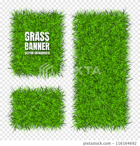 Green grass banners, background. Field, meadow texture, grassy landscape. Organic, bio, eco and natural lifestyle design elements. Ecology and environment protection. Vector illustration Green grass banners, background. Field, meadow texture, grassy landscape. Organic, bio, eco and natural lifestyle design elements. Ecology and environment protection. Vector illustration 116164692