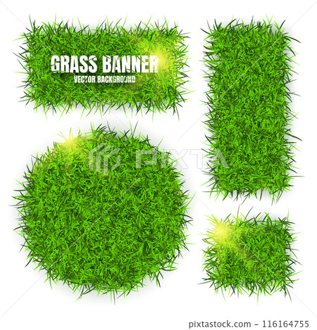 Green grass banners, background. Field, meadow texture, grassy landscape. Organic, bio, eco and natural lifestyle design elements. Ecology and environment protection. Vector illustration Green grass banners, background. Field, meadow texture, grassy landscape. Organic, bio, eco and natural lifestyle design elements. Ecology and environment protection. Vector illustration 116164755