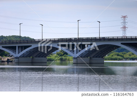 Lake Teganuma and Teganuma Bridge (Chiba Prefecture) Lake Teganuma and Teganuma Bridge (Chiba Prefecture) 116164763