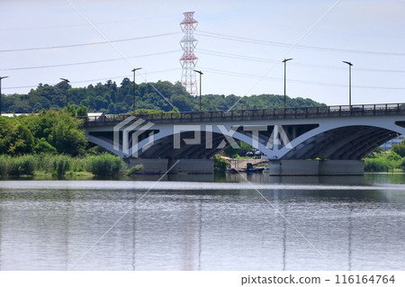 Lake Teganuma and Teganuma Bridge (Chiba Prefecture) Lake Teganuma and Teganuma Bridge (Chiba Prefecture) 116164764