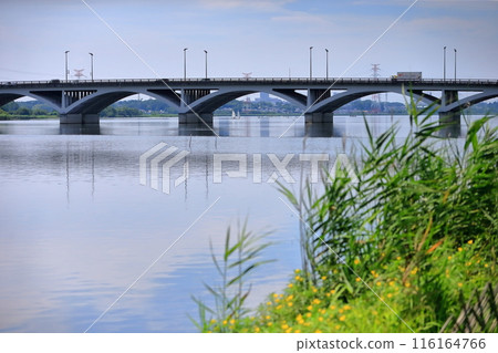Lake Teganuma and Teganuma Bridge (Chiba Prefecture) Lake Teganuma and Teganuma Bridge (Chiba Prefecture) 116164766