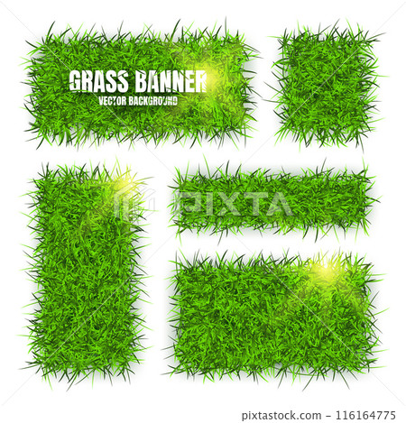 Green grass banners, background. Field, meadow texture, grassy landscape. Organic, bio, eco and natural lifestyle design elements. Ecology and environment protection. Vector illustration Green grass banners, background. Field, meadow texture, grassy landscape. Organic, bio, eco and natural lifestyle design elements. Ecology and environment protection. Vector illustration 116164775