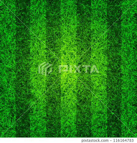 Soccer playing field with green grass. Football pitch background with stripes. Sports ground, stadium with fake or natural grass. Vector illustration 116164783
