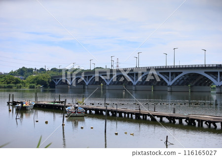 手賀沼與手賀大橋（千葉縣） 116165027