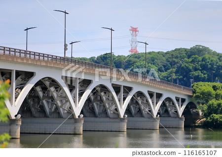 Lake Teganuma and Teganuma Bridge (Chiba Prefecture) Lake Teganuma and Teganuma Bridge (Chiba Prefecture) 116165107