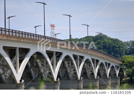 Lake Teganuma and Teganuma Bridge (Chiba Prefecture) 116165109