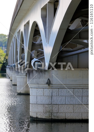 Lake Teganuma and Teganuma Bridge (Chiba Prefecture) 116165110