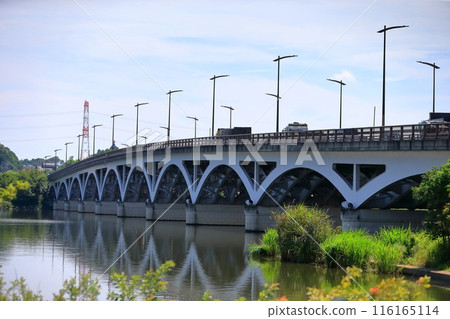 Lake Teganuma and Teganuma Bridge (Chiba Prefecture) Lake Teganuma and Teganuma Bridge (Chiba Prefecture) 116165114