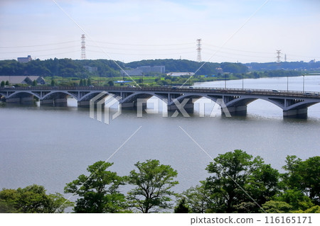 手賀沼與手賀大橋(千葉縣) 手賀沼與手賀大橋(千葉縣) 116165171