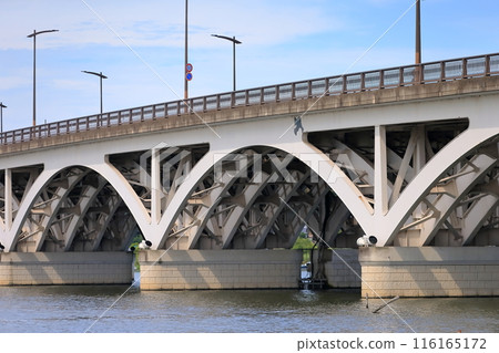 Lake Teganuma and Teganuma Bridge (Chiba Prefecture) Lake Teganuma and Teganuma Bridge (Chiba Prefecture) 116165172