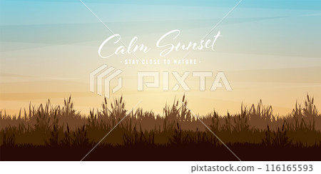 Meadow silhouettes with grass. Countryside, panoramic summer lawn rural landscape with herbs, weeds. Agriculture and farming. Summer sunset in nature, wildlife. Vector illustration Meadow silhouettes with grass. Countryside, panoramic summer lawn rural landscape with herbs, weeds. Agriculture and farming. Summer sunset in nature, wildlife. Vector illustration 116165593
