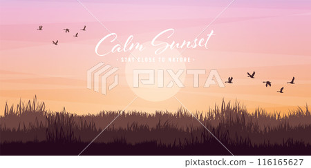 Meadow silhouettes with grass. Countryside, panoramic summer lawn rural landscape with herbs, weeds. Agriculture and farming. Summer sunset in nature, wildlife. Vector illustration 116165627