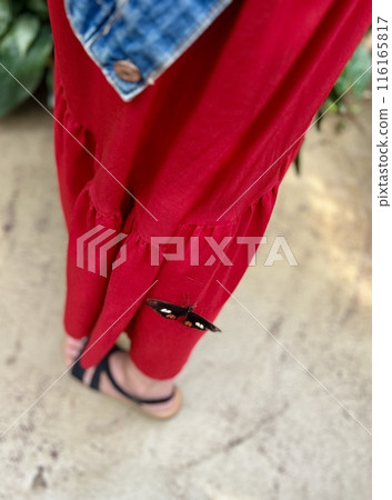 Woman wearing red pants and black dragonfly  116165817