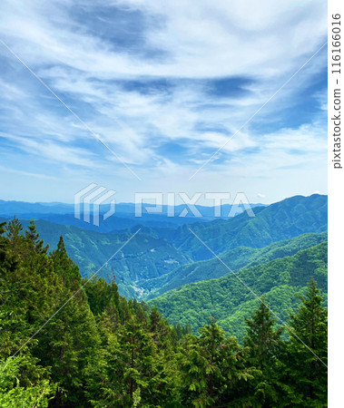 Mountain top Mountain top 116166016