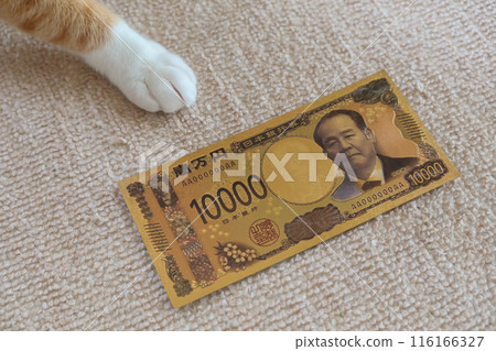 Japan Bank 10000 yen new banknote toy with a cat paw in Tokyo, japan. July 3, 2023 116166327