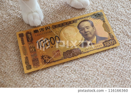 Japan Bank 10000 yen new banknote toy with cat paws in Tokyo, japan. July 3, 2023 116166360