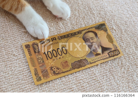 Japan Bank 10000 yen new banknote toy with cat paws in Tokyo, japan. July 3, 2023 Japan Bank 10000 yen new banknote toy with cat paws in Tokyo, japan. July 3, 2023 116166364