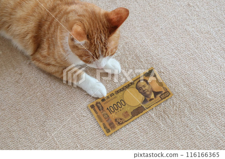 Japan Bank 10000 yen new banknote toy with cat in Tokyo, japan. July 3, 2023 116166365