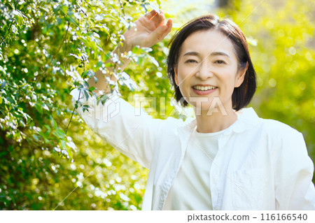 Middle-aged woman's beauty in the sunlight 116166540