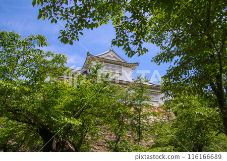 津山城 津山城 116166689