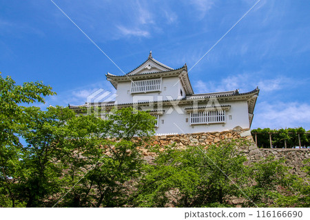 津山城 116166690
