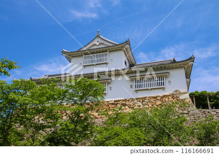 Tsuyama Castle Tsuyama Castle 116166691