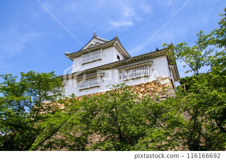Tsuyama Castle 116166692