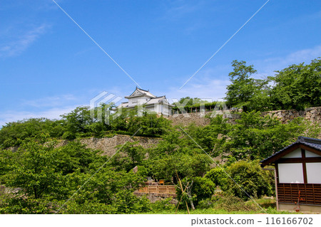 津山城 116166702