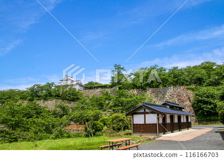 津山城 116166703