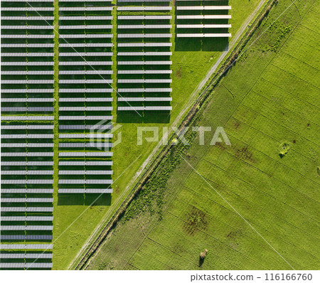 Solar panels on field in summer, aerial drone view 116166760