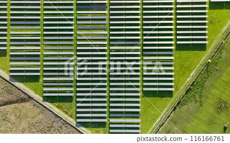 Solar panels on field in summer, aerial drone view Solar panels on field in summer, aerial drone view 116166761