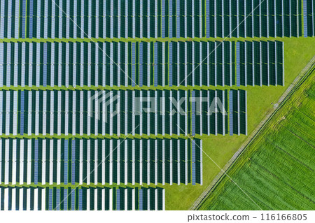 Solar panels on field in summer, aerial drone view 116166805