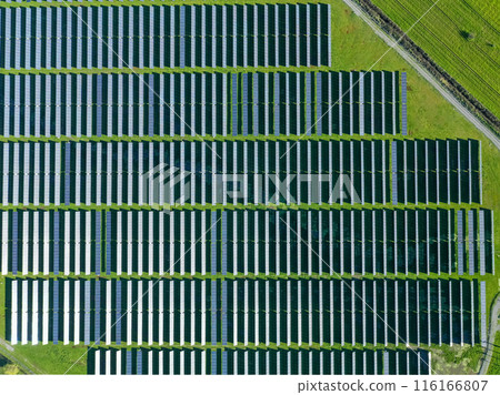 Solar panels on field in summer, aerial drone view 116166807