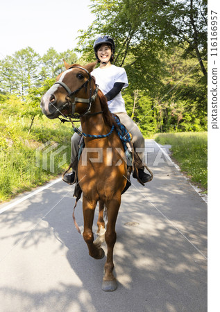 Woman enjoying horse riding Woman enjoying horse riding 116166957