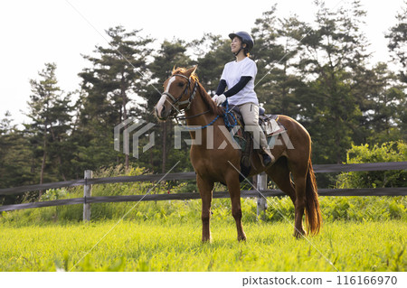 Woman enjoying horse riding Woman enjoying horse riding 116166970
