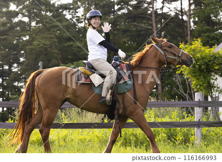 Woman enjoying horse riding Woman enjoying horse riding 116166993