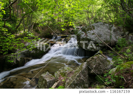 噴泉谷 噴泉谷 116167159