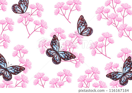 Fujibakama and butterflies Fujibakama and butterflies 116167184