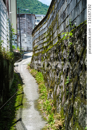 Odaidai back alley, Kanagawa Prefecture 116167192