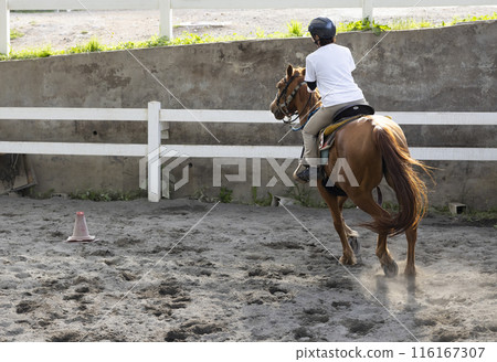 Woman enjoying horse riding Woman enjoying horse riding 116167307