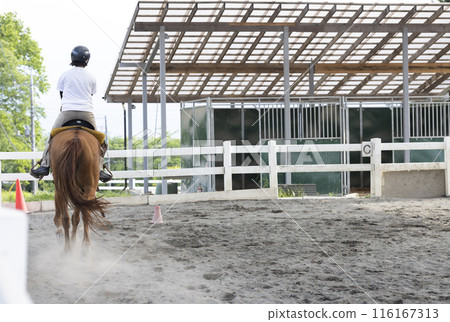 Woman enjoying horse riding Woman enjoying horse riding 116167313