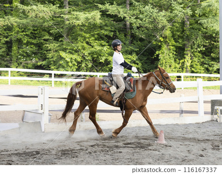 享受騎馬的女人 116167337