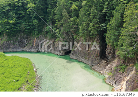 初夏的高瀨溪谷 初夏的高瀨溪谷 116167349