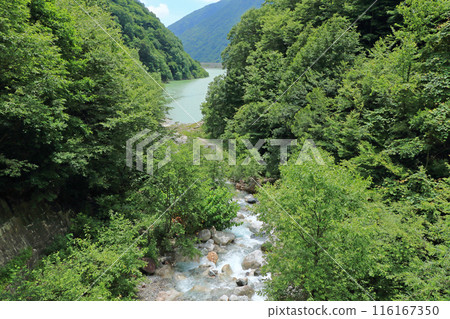 初夏的七倉水庫 116167350