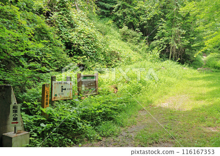 七倉山登山口 116167353