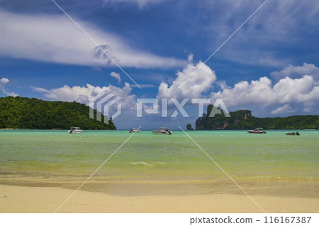 Phi Phi Island 116167387