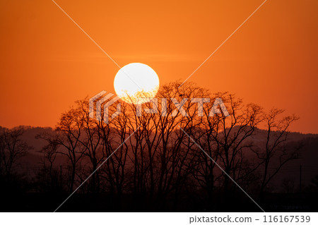 沉沒的日落 沉沒的日落 116167539