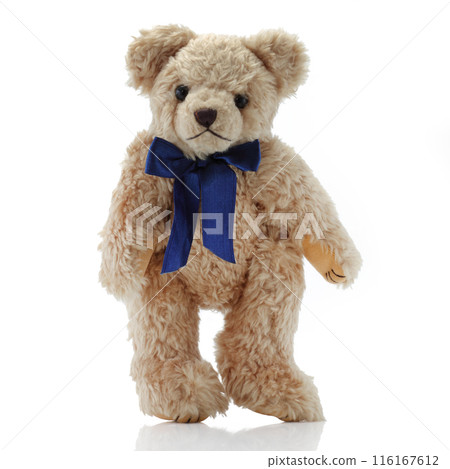 Teddy Bear with a blue bow Teddy Bear with a blue bow 116167612